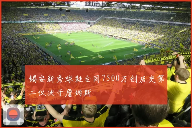 锡安新秀球鞋合同7500万创历史第二仅次于詹姆斯